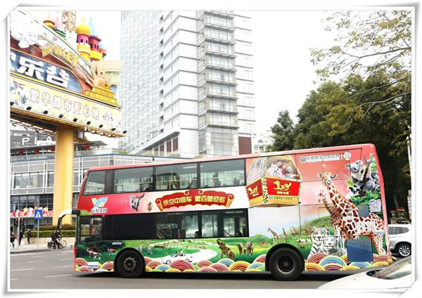 動物伴你同行，這個公交車廣告有點萌哦!