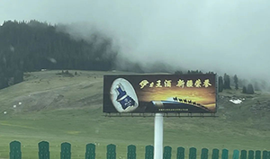 新疆高速立柱大牌廣告案例，烏魯木齊高速廣告酒類廣告案例