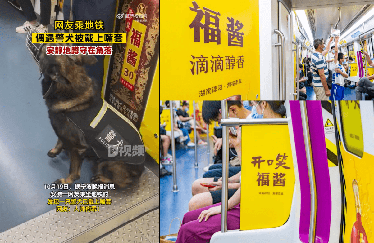 長沙地鐵廣告價格多少錢？長沙地鐵列車內(nèi)包車廣告全線覆蓋酒案例