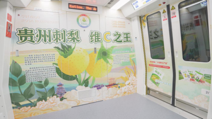 貴陽地鐵廣告特產(chǎn)案例圖，貴陽地鐵廣告內(nèi)包車廣告價(jià)格多少錢？