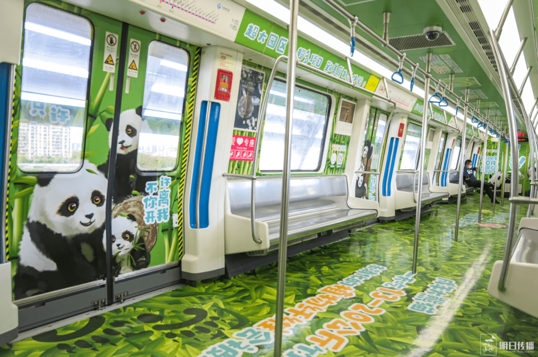 寧波地鐵車廂廣告價格多少錢？寧波地鐵廣告經(jīng)典全包車案例動物園